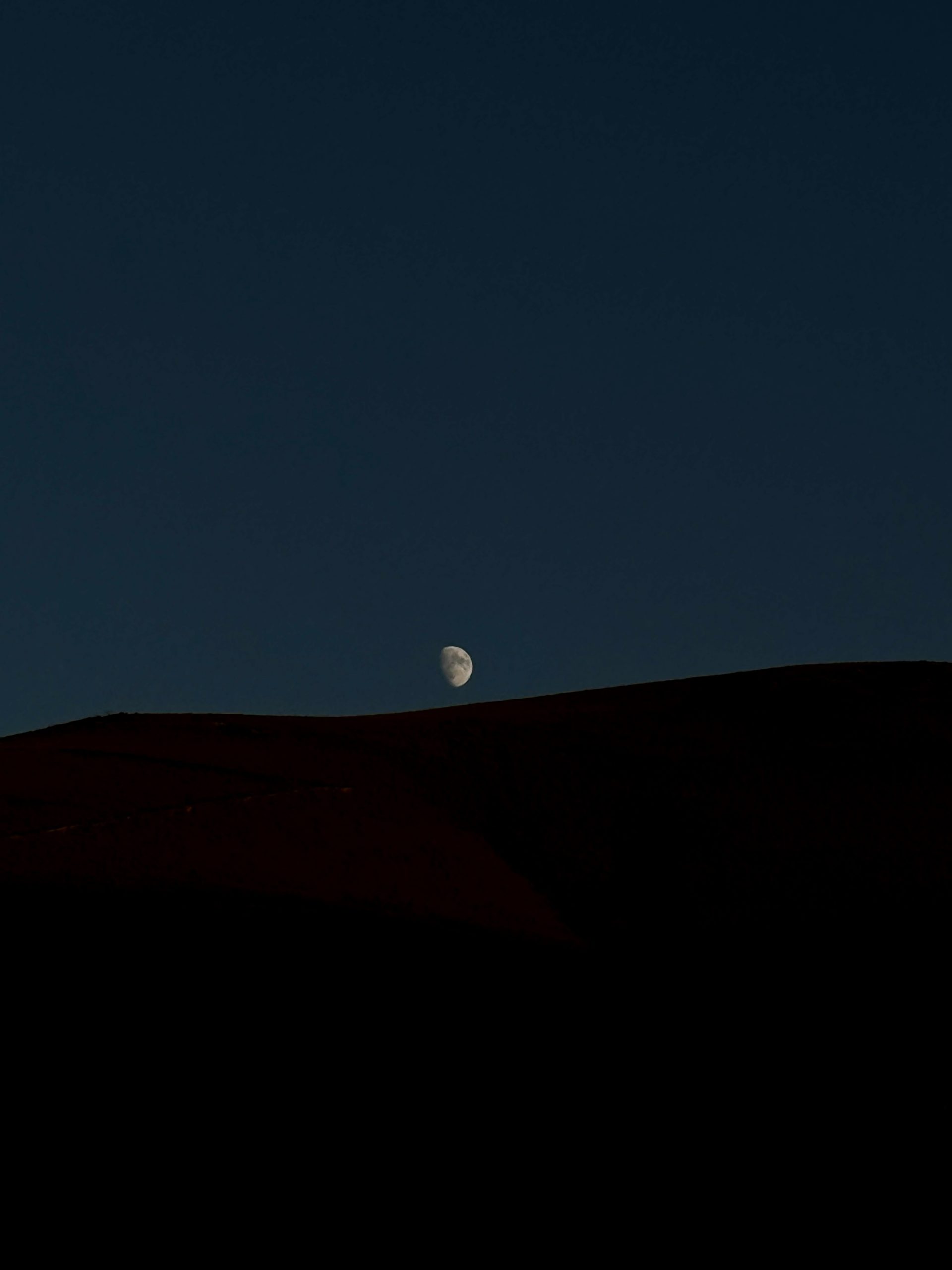 IMG_0599-scaled.jpeg
